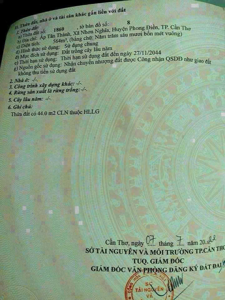 Bán Đất Vườn Làm Biệt Thự MiNi, Cầu Gạch Sung, Nhơn Nghĩa Phong Điền CT