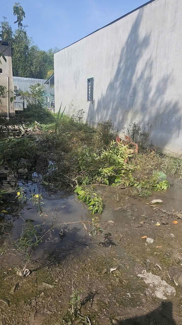 Bán nền thổ cư Long Tuyền, lộ ô tô 4m – 115,7m² – giá 990 triệu, hỗ trợ vay ngân hàng