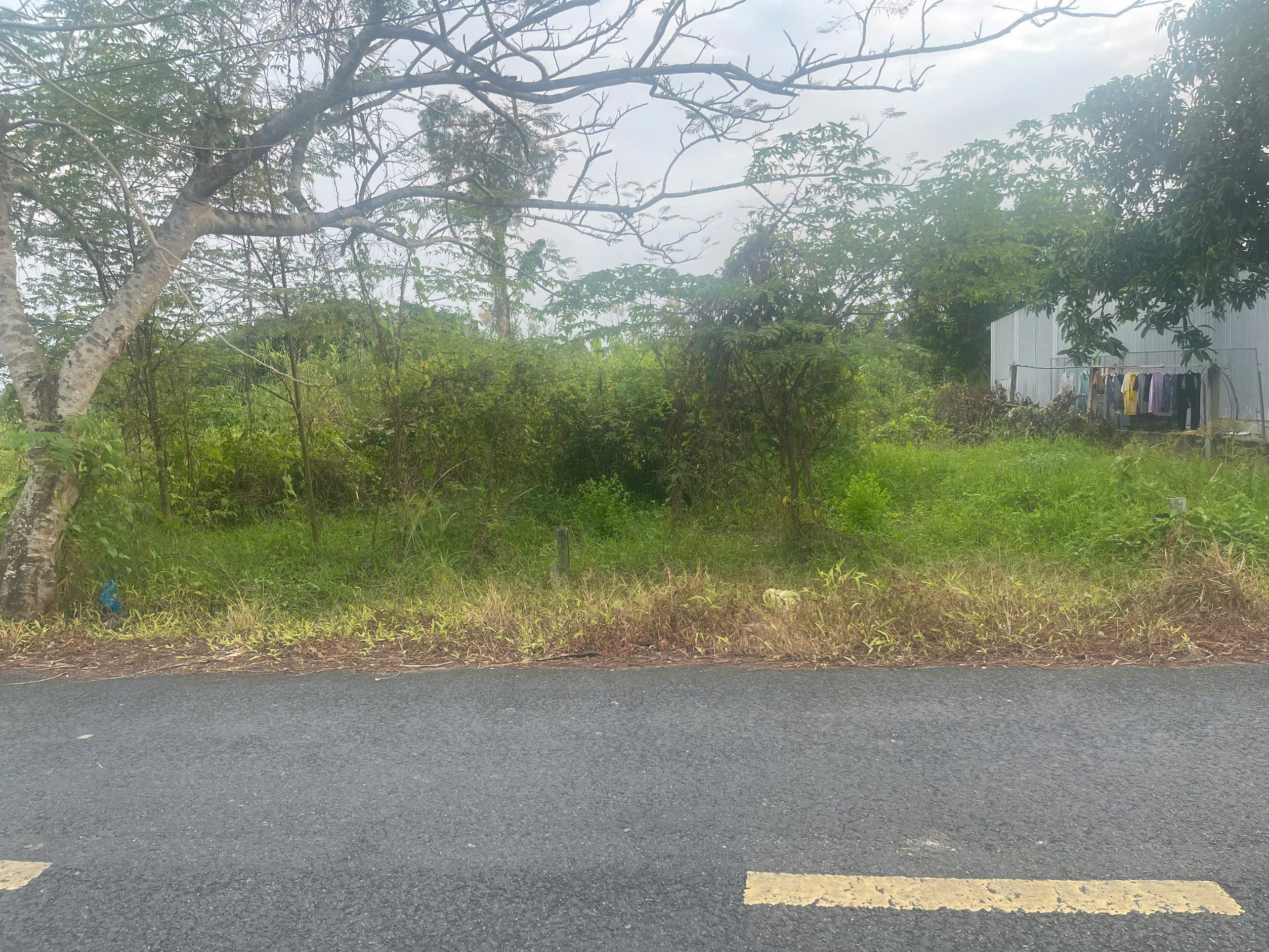 Bán 3 nền thổ cư đường Huyện Rạch Khám Ông Hào