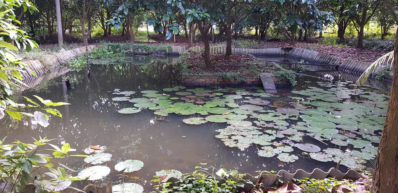 Bán 6.600m2 đất vườn gần thiền viện trúc lâm Phương Nam