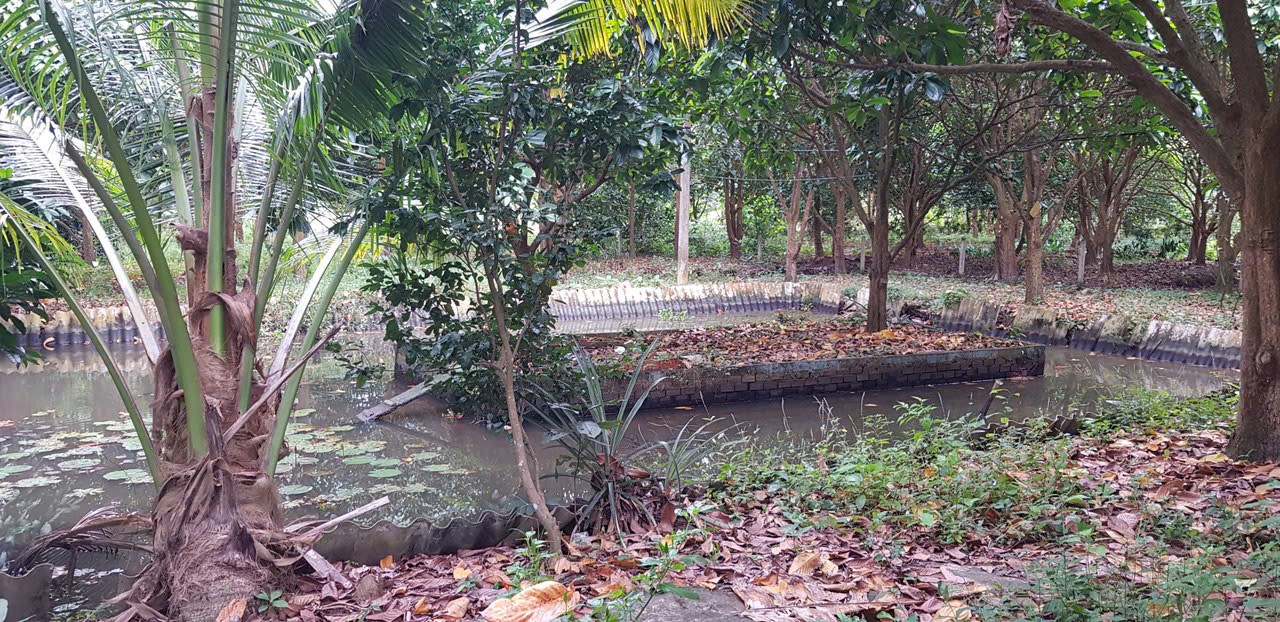 Bán 6.600m2 đất vườn gần thiền viện trúc lâm Phương Nam