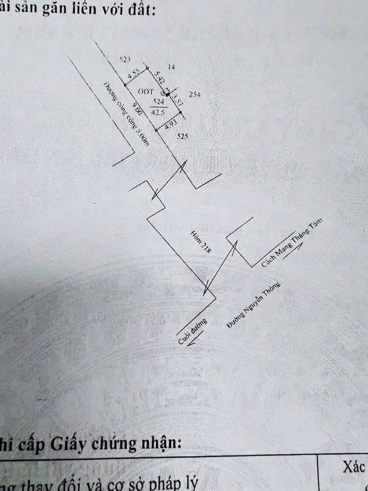 Bán nhà trệt lầu mới xây full nội thất trục chính hẻm 218 Nguyễn Thông