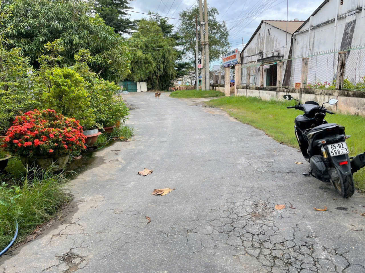 BÁN NỀN THỔ CƯ TRỤC CHÍNH KHU TĐC NHƠN NGHĨA